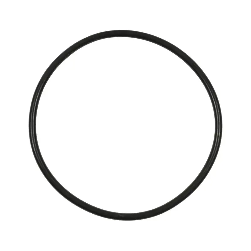SMP-VG249 - Exhaust Gas Recirculation (EGR) Valve Gasket | Standard Motor Products Flash Sale