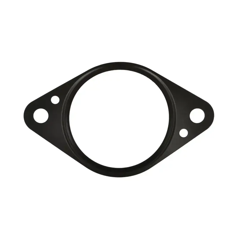 Express Delivery SMP-VG251 - Exhaust Gas Recirculation (EGR) Valve Gasket | Standard Motor Products