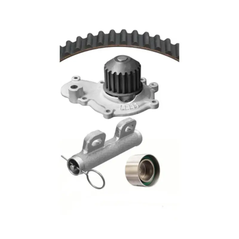 One Day Deal DAY-WP245K1A - Engine Timing Belt Kit with Water Pump | Dayco