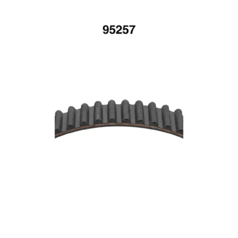 DAY-95257 - Engine Timing Belt | Dayco Exclusive Offer