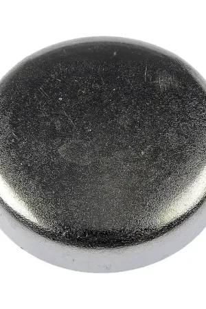 Luxury DOR-555-024 - Engine Core Plug | Dorman - Autograde