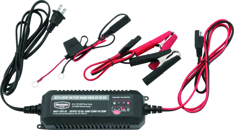 Today Only BikeMaster Intelligent Battery Charger