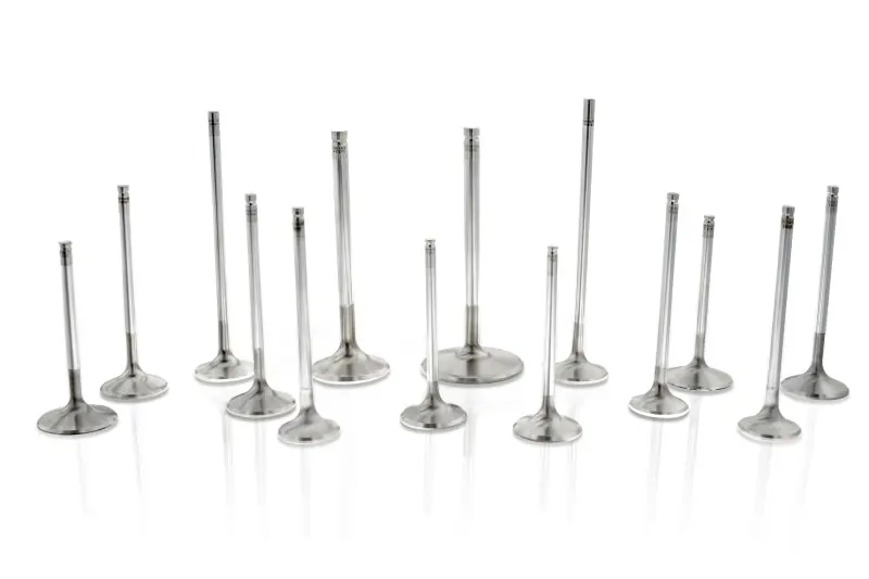 Ferrea Nissan RB26 30.15mm 6.9mm 22 Deg Flo Rad Grv Stk Comp Plus Exh Valve - Set of 12 Price Cut
