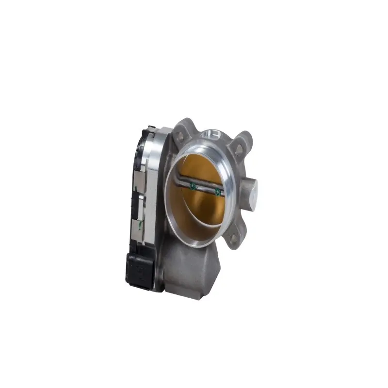 Luxury BBK Throttle Bodies